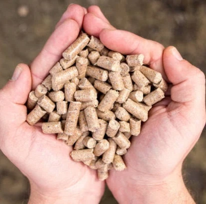 पशु आहार